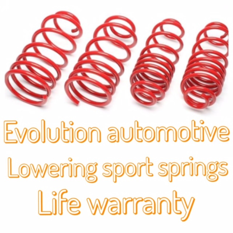 Evolution Automotive 40mm lowering springs for 2014+ Ford Transit Connect 