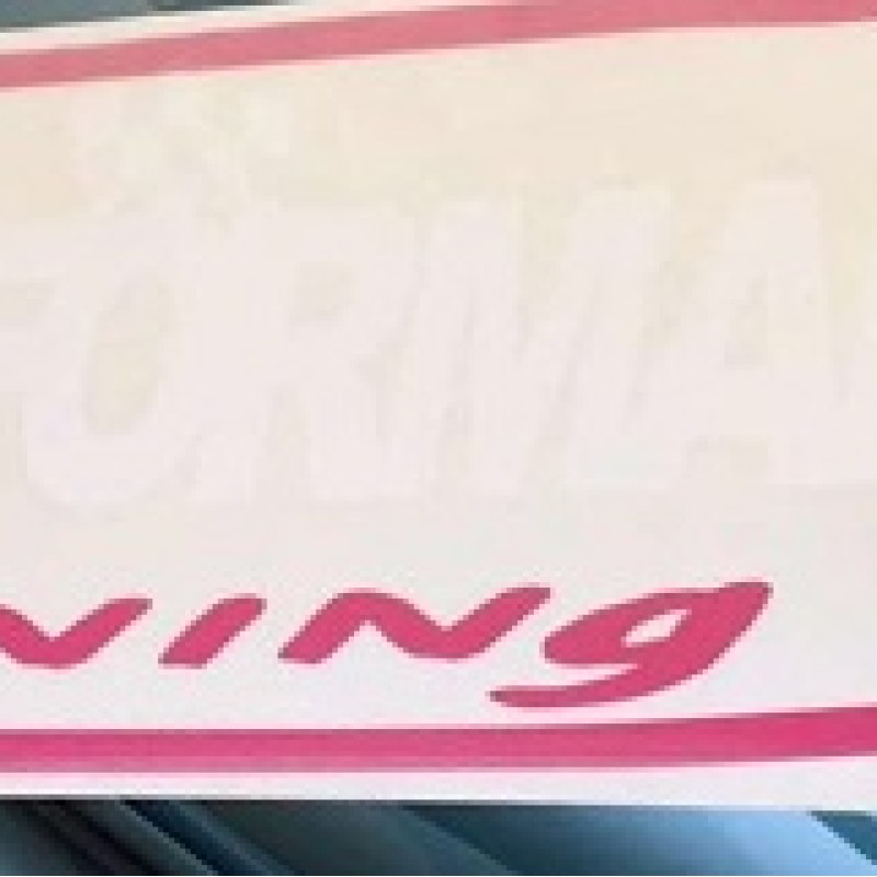 fkw08 fk performance pink/ blue fk / white windscreen sticker 