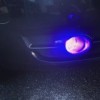 NEW led purple fog light bulbs H3 1 pair 